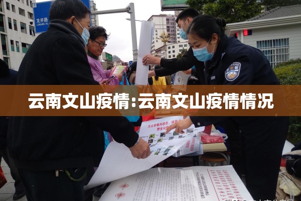 云南文山疫情:云南文山疫情情况