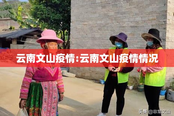 云南文山疫情:云南文山疫情情况