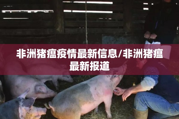 非洲猪瘟疫情最新信息/非洲猪瘟最新报道