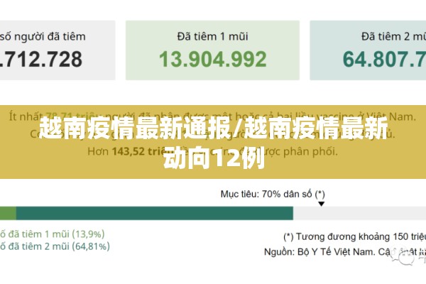 越南疫情最新通报/越南疫情最新动向12例