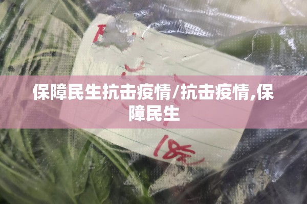 保障民生抗击疫情/抗击疫情,保障民生
