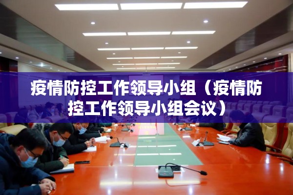 疫情防控工作领导小组（疫情防控工作领导小组会议）
