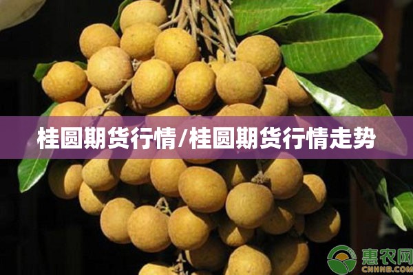 桂圆期货行情/桂圆期货行情走势 桂圆期货行情/桂圆期货行情走势