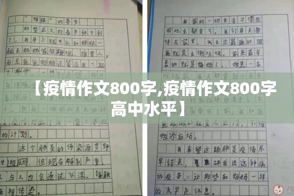 【疫情作文800字,疫情作文800字高中水平】