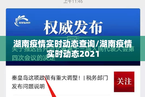 湖南疫情实时动态查询/湖南疫情实时动态2021