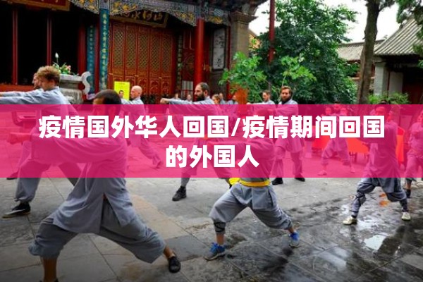 疫情国外华人回国/疫情期间回国的外国人