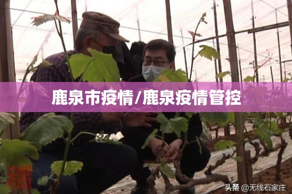 鹿泉市疫情/鹿泉疫情管控 鹿泉市疫情/鹿泉疫情管控