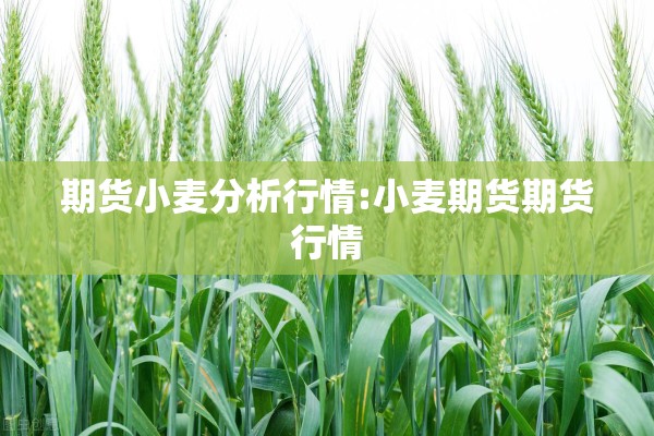 期货小麦分析行情:小麦期货期货行情 期货小麦分析行情:小麦期货期货行情