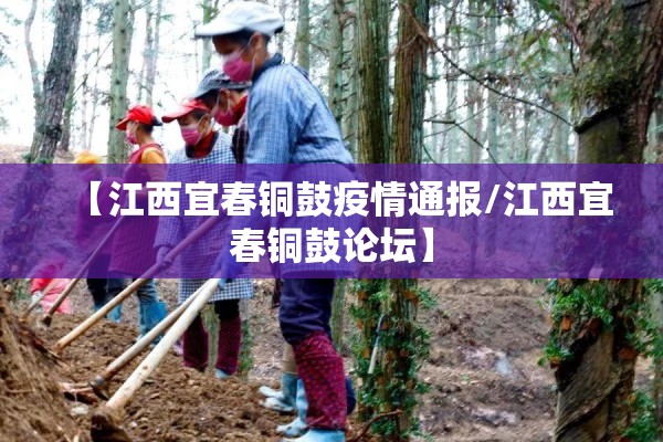 【江西宜春铜鼓疫情通报/江西宜春铜鼓论坛】 【江西宜春铜鼓疫情通报/江西宜春铜鼓论坛】