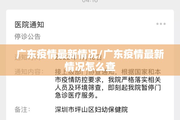 广东疫情最新情况/广东疫情最新情况怎么查 广东疫情最新情况/广东疫情最新情况怎么查