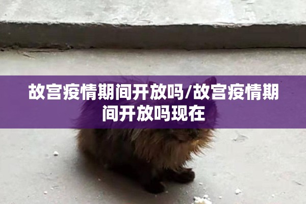 故宫疫情期间开放吗/故宫疫情期间开放吗现在
