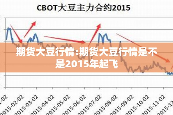 期货大豆行情:期货大豆行情是不是2015年起飞