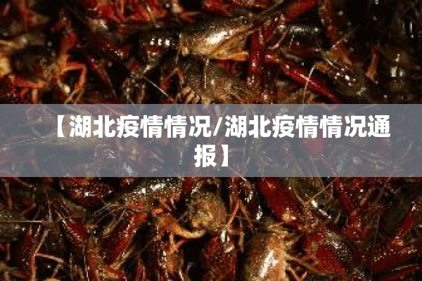 【湖北疫情情况/湖北疫情情况通报】 【湖北疫情情况/湖北疫情情况通报】