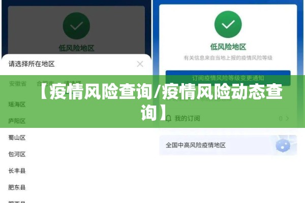 【疫情风险查询/疫情风险动态查询】