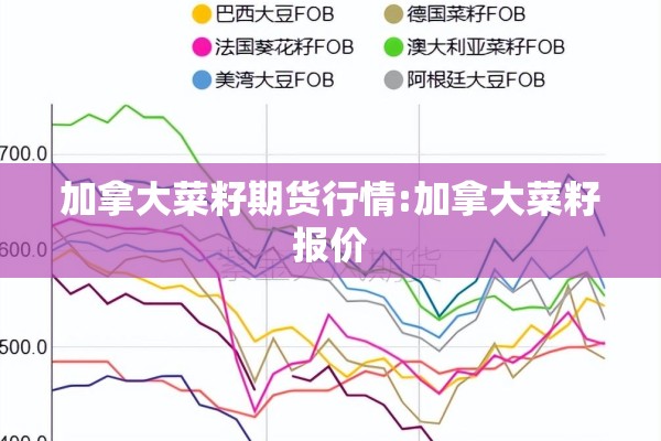 加拿大菜籽期货行情:加拿大菜籽报价 加拿大菜籽期货行情:加拿大菜籽报价