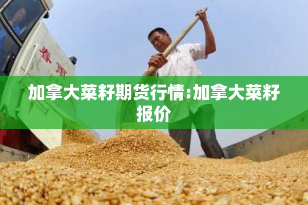 加拿大菜籽期货行情:加拿大菜籽报价 加拿大菜籽期货行情:加拿大菜籽报价