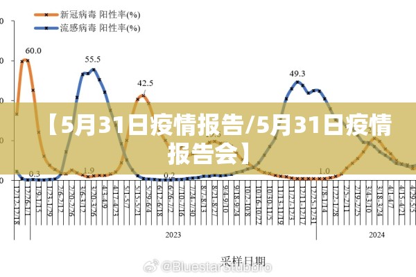 【5月31日疫情报告/5月31日疫情报告会】 【5月31日疫情报告/5月31日疫情报告会】