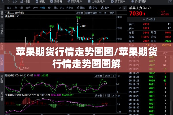 苹果期货行情走势图图/苹果期货行情走势图图解 苹果期货行情走势图图/苹果期货行情走势图图解