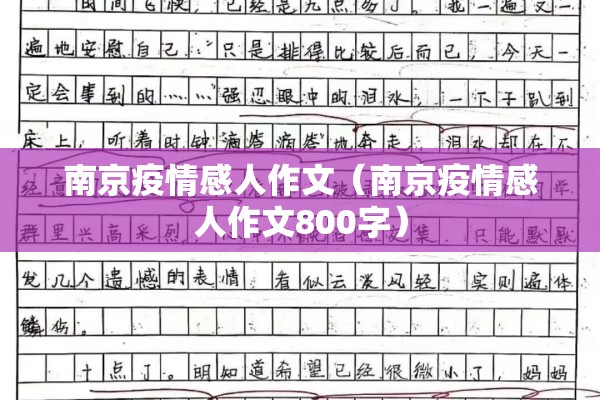 南京疫情感人作文（南京疫情感人作文800字）