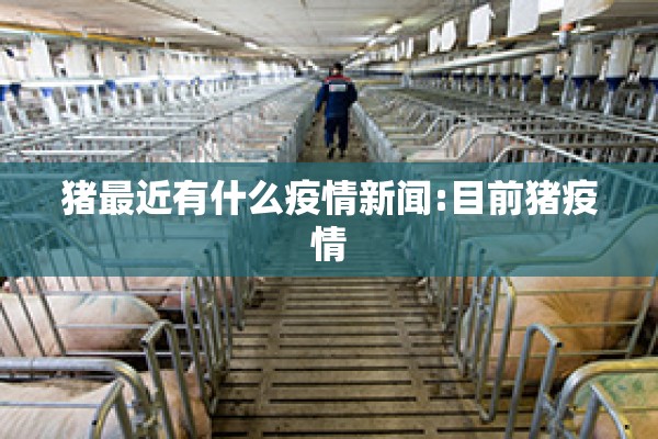 猪最近有什么疫情新闻:目前猪疫情