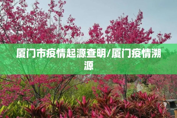 厦门市疫情起源查明/厦门疫情溯源