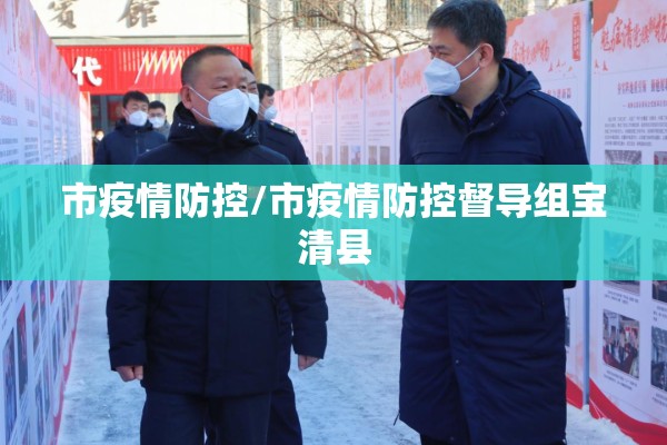 市疫情防控/市疫情防控督导组宝清县