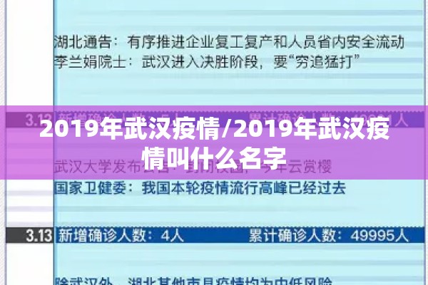 2019年武汉疫情/2019年武汉疫情叫什么名字 2019年武汉疫情/2019年武汉疫情叫什么名字
