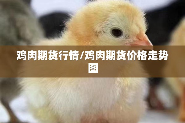 鸡肉期货行情/鸡肉期货价格走势图 鸡肉期货行情/鸡肉期货价格走势图