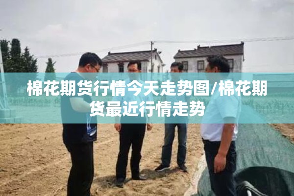 棉花期货行情今天走势图/棉花期货最近行情走势