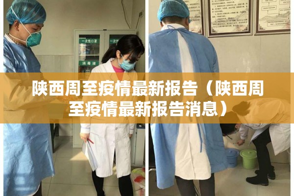 陕西周至疫情最新报告（陕西周至疫情最新报告消息）
