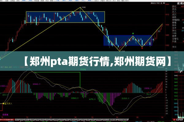 【郑州pta期货行情,郑州期货网】