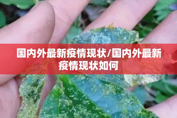 国内外最新疫情现状/国内外最新疫情现状如何