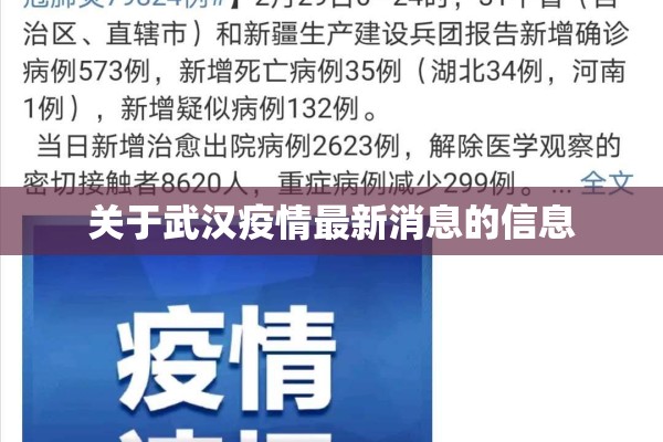 关于武汉疫情最新消息的信息 关于武汉疫情最新消息的信息