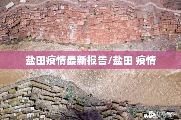 盐田疫情最新报告/盐田 疫情 盐田疫情最新报告/盐田 疫情