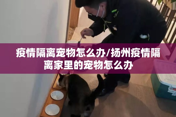疫情隔离宠物怎么办/扬州疫情隔离家里的宠物怎么办 疫情隔离宠物怎么办/扬州疫情隔离家里的宠物怎么办