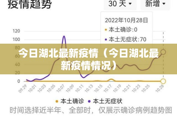 今日湖北最新疫情（今日湖北最新疫情情况）