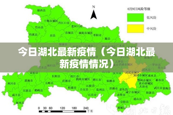 今日湖北最新疫情（今日湖北最新疫情情况）