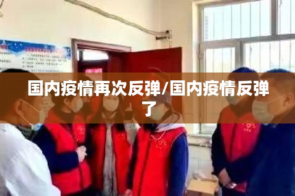 国内疫情再次反弹/国内疫情反弹了 国内疫情再次反弹/国内疫情反弹了
