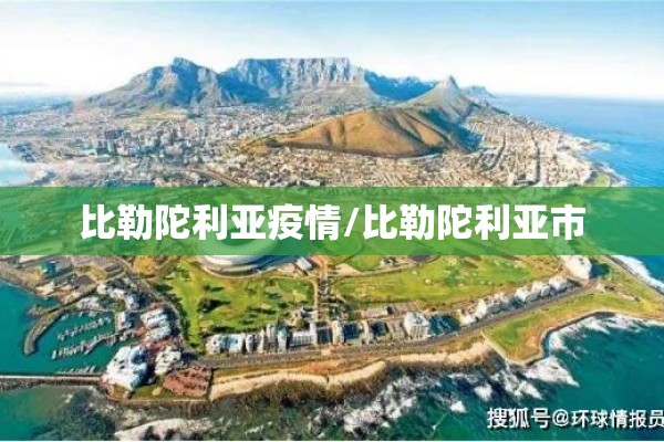 比勒陀利亚疫情/比勒陀利亚市