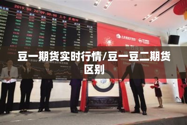 豆一期货实时行情/豆一豆二期货区别