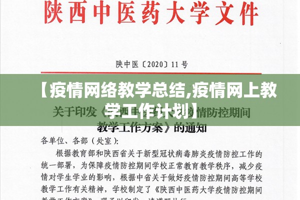 【疫情网络教学总结,疫情网上教学工作计划】