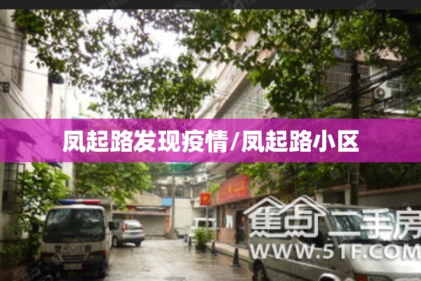 凤起路发现疫情/凤起路小区