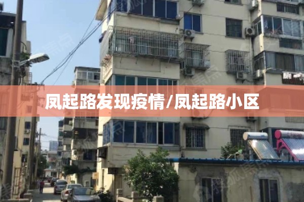 凤起路发现疫情/凤起路小区