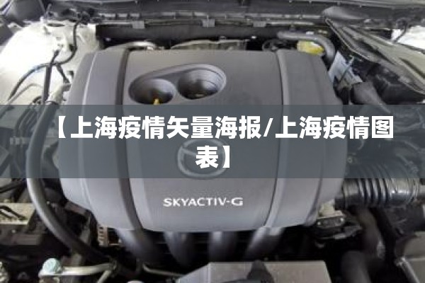 【上海疫情矢量海报/上海疫情图表】