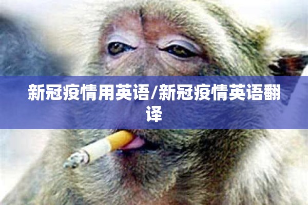 新冠疫情用英语/新冠疫情英语翻译