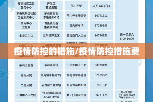 疫情防控的措施/疫情防控措施费 疫情防控的措施/疫情防控措施费