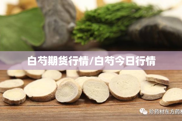 白芍期货行情/白芍今日行情
