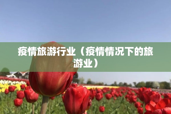 疫情旅游行业（疫情情况下的旅游业）