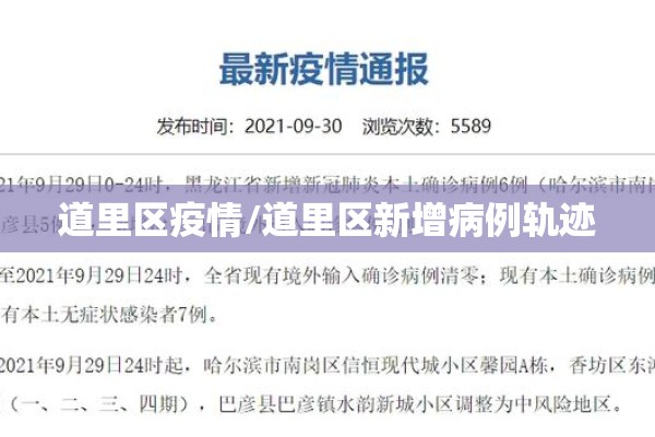 道里区疫情/道里区新增病例轨迹