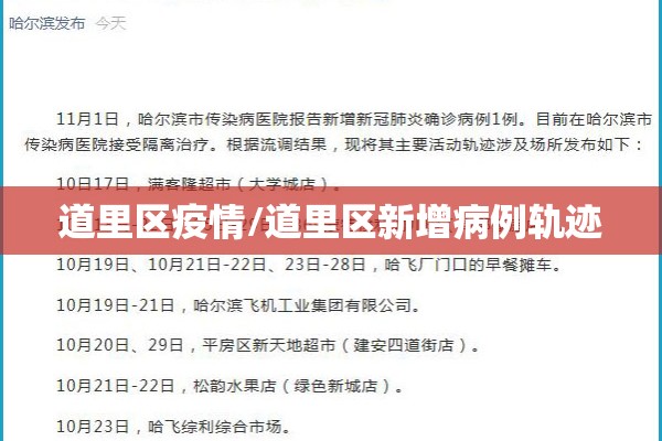 道里区疫情/道里区新增病例轨迹